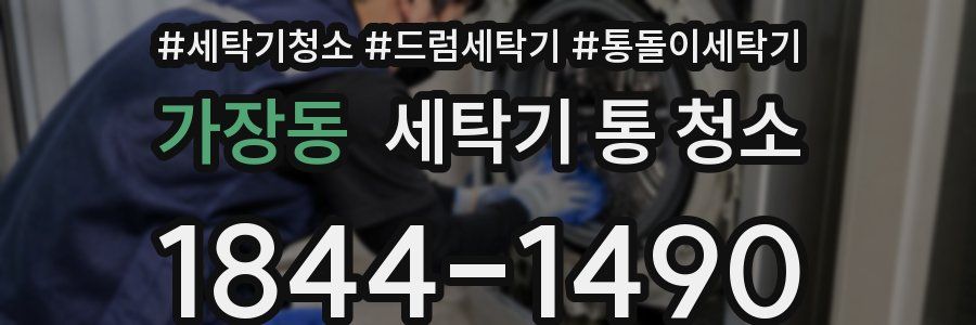가장동 세탁기 통 청소