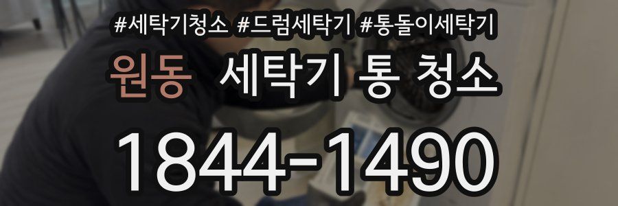 원동 세탁기 통 청소