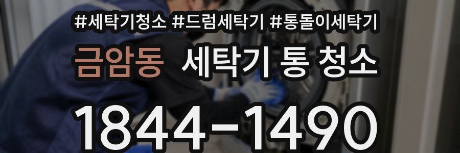 금암동 세탁기 통 청소