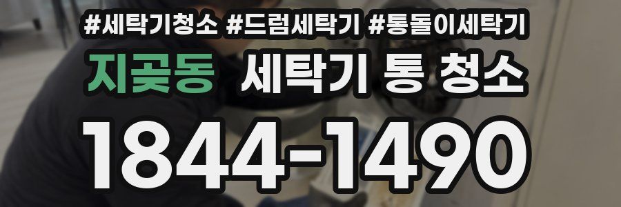 지곶동 세탁기 통 청소
