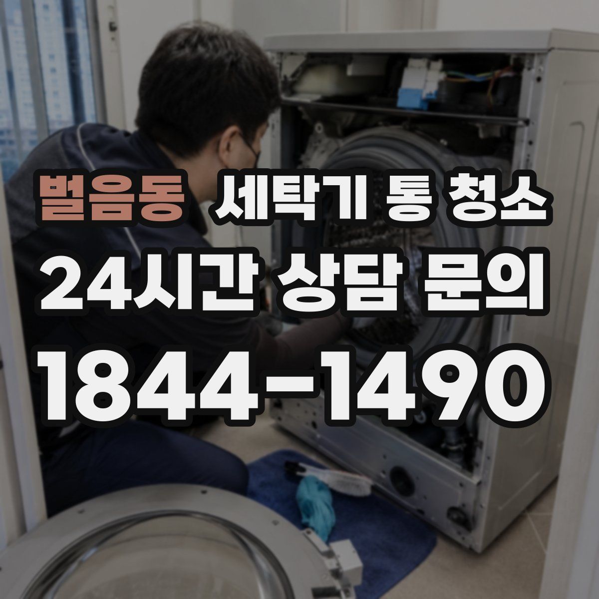 벌음동 세탁기 통 청소