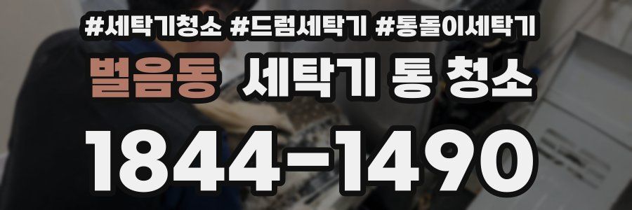 벌음동 세탁기 통 청소