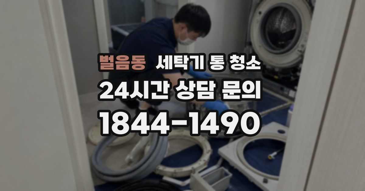 벌음동 세탁기 통 청소