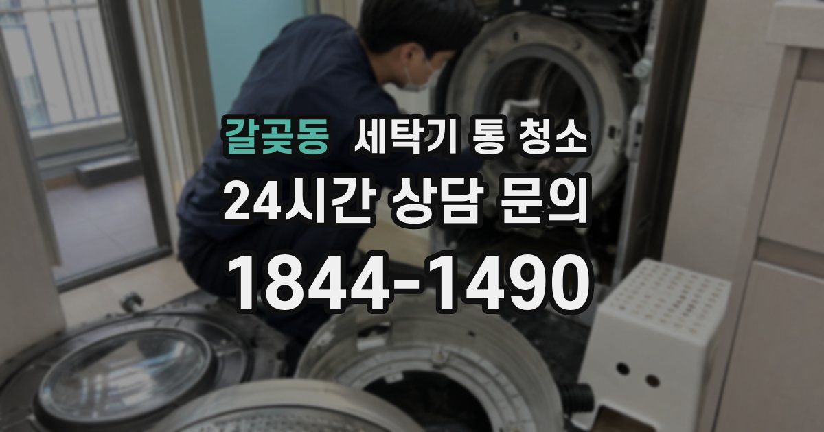 갈곶동 세탁기 통 청소