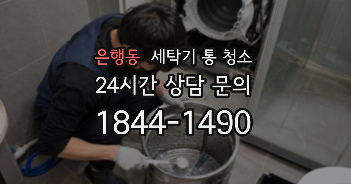 은행동 세탁기 통 청소
