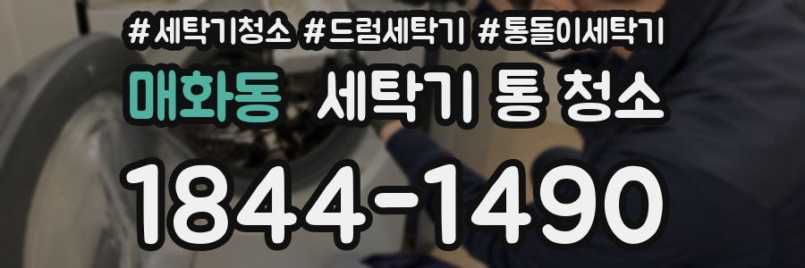 매화동 세탁기 통 청소