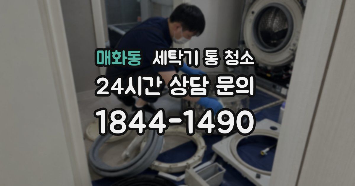 매화동 세탁기 통 청소