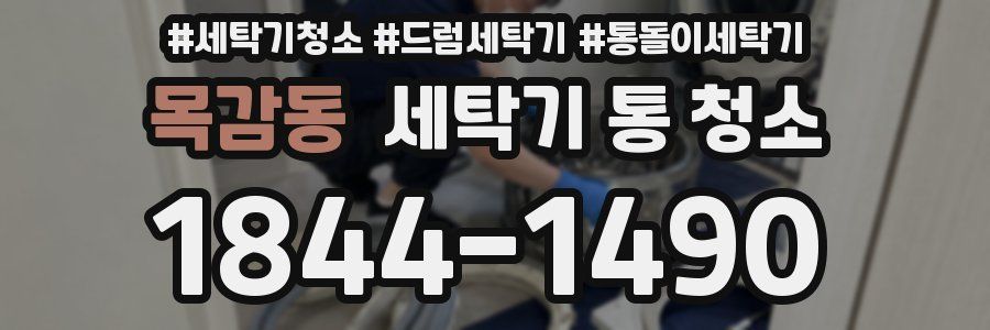 목감동 세탁기 통 청소