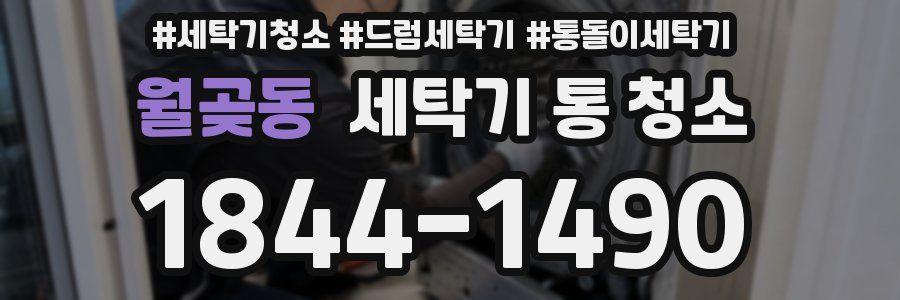 월곶동 세탁기 통 청소