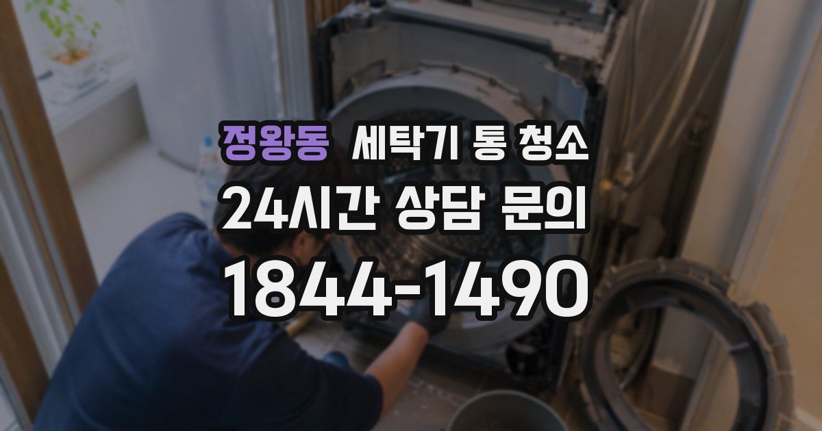 정왕동 세탁기 통 청소