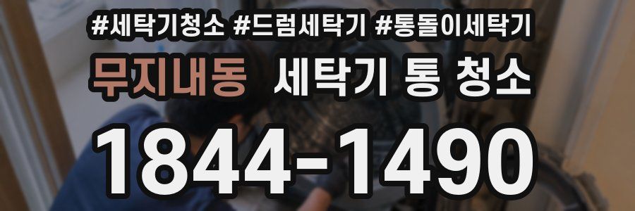무지내동 세탁기 통 청소