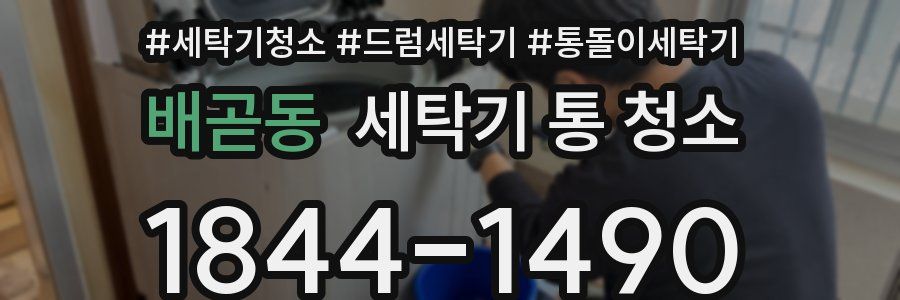 배곧동 세탁기 통 청소