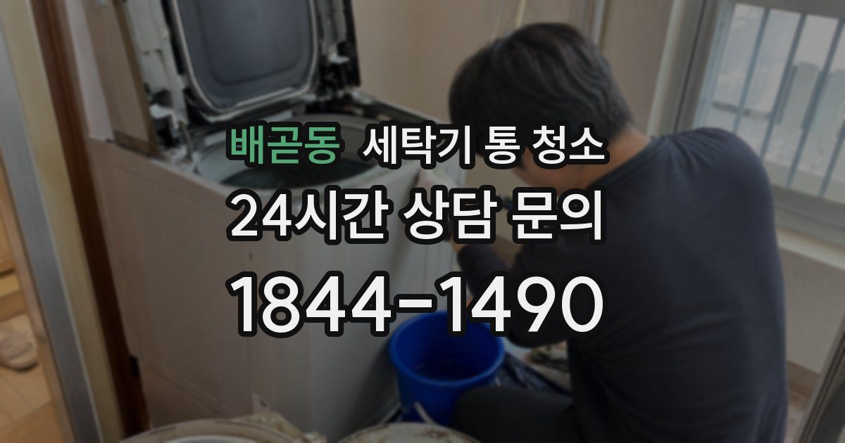 배곧동 세탁기 통 청소