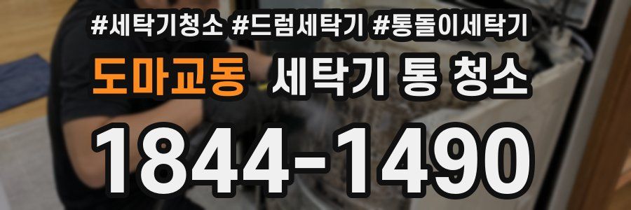 도마교동 세탁기 통 청소