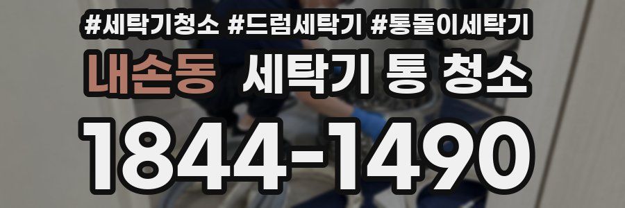 내손동 세탁기 통 청소