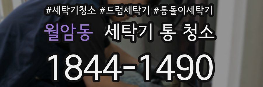 월암동 세탁기 통 청소