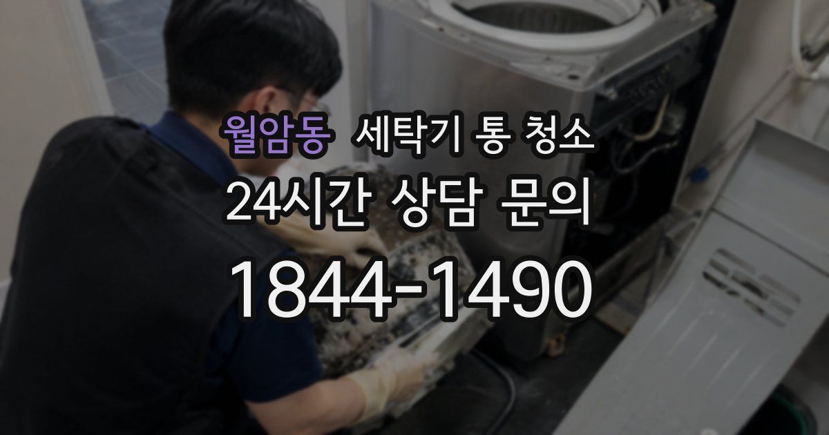 월암동 세탁기 통 청소