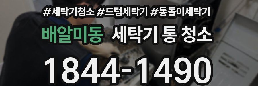 배알미동 세탁기 통 청소