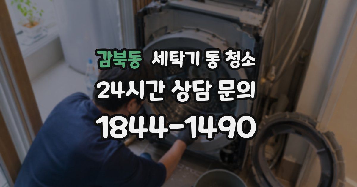 감북동 세탁기 통 청소