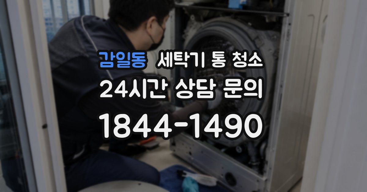 감일동 세탁기 통 청소