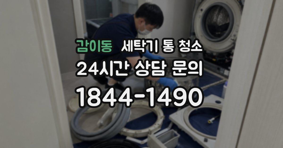 감이동 세탁기 통 청소