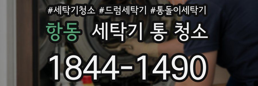 항동 세탁기 통 청소