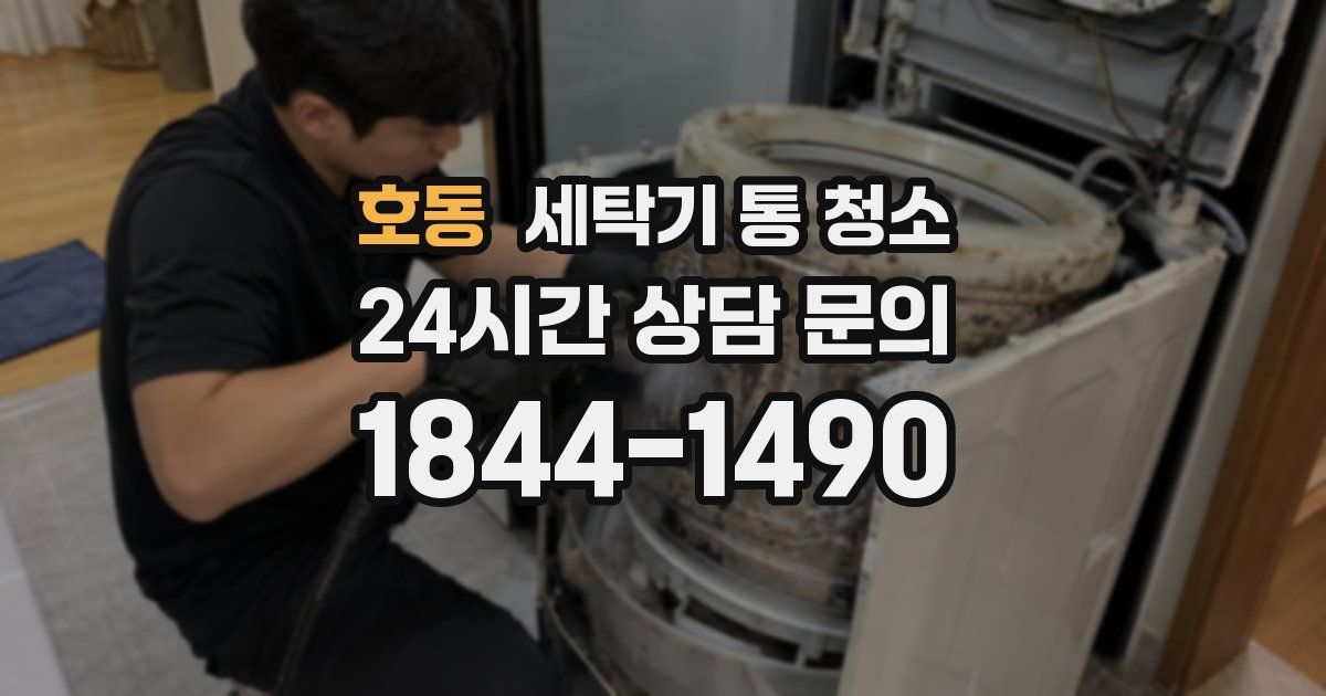 호동 세탁기 통 청소