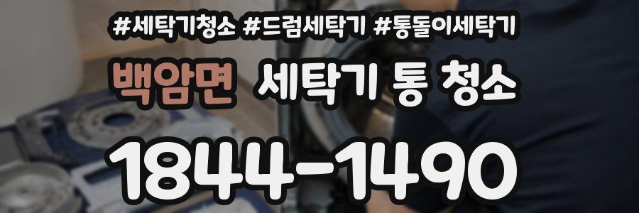 백암면 세탁기 통 청소