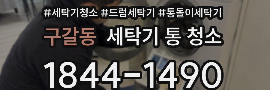 구갈동 세탁기 통 청소