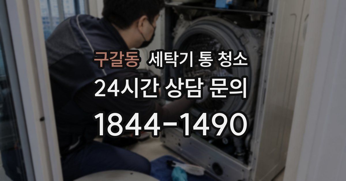 구갈동 세탁기 통 청소