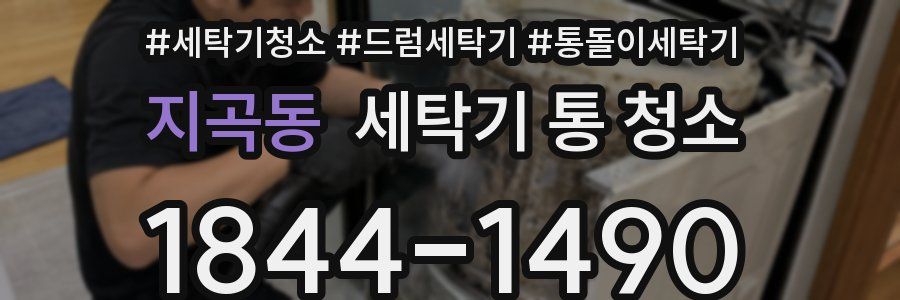 지곡동 세탁기 통 청소