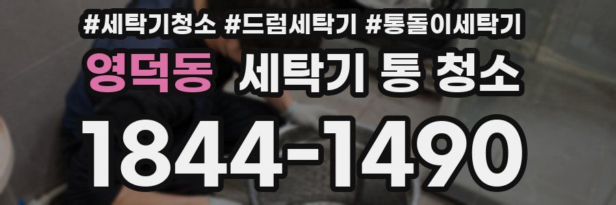 영덕동 세탁기 통 청소