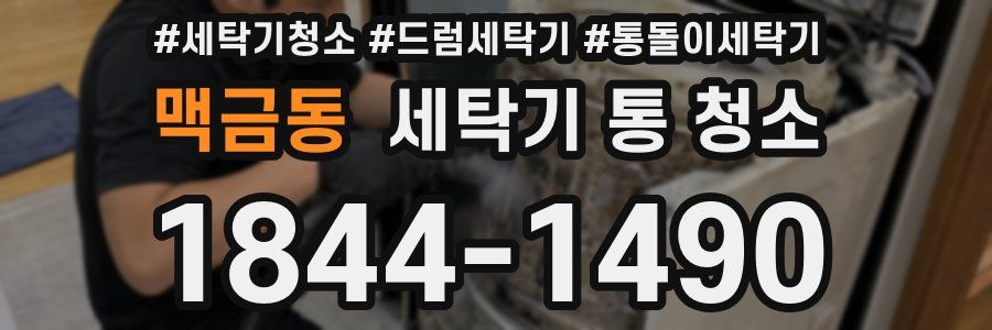 맥금동 세탁기 통 청소