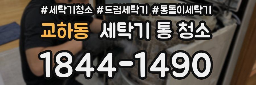 교하동 세탁기 통 청소