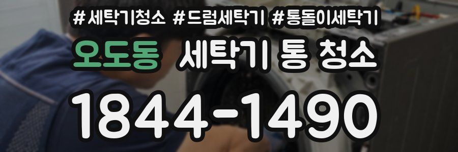 오도동 세탁기 통 청소