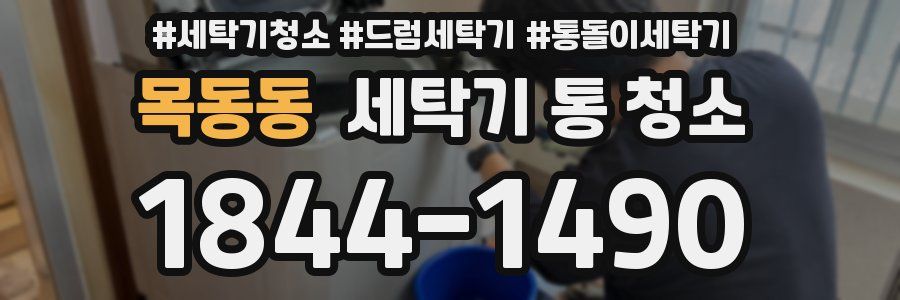 목동동 세탁기 통 청소