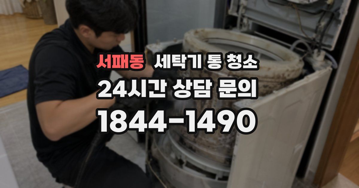 서패동 세탁기 통 청소