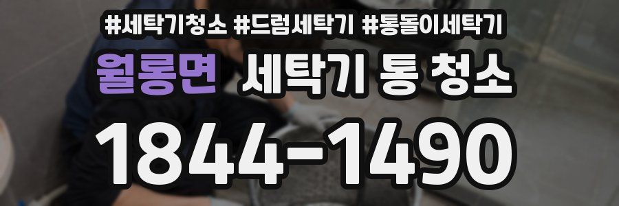 월롱면 세탁기 통 청소