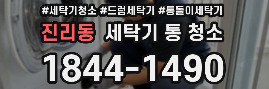진리동 세탁기 통 청소