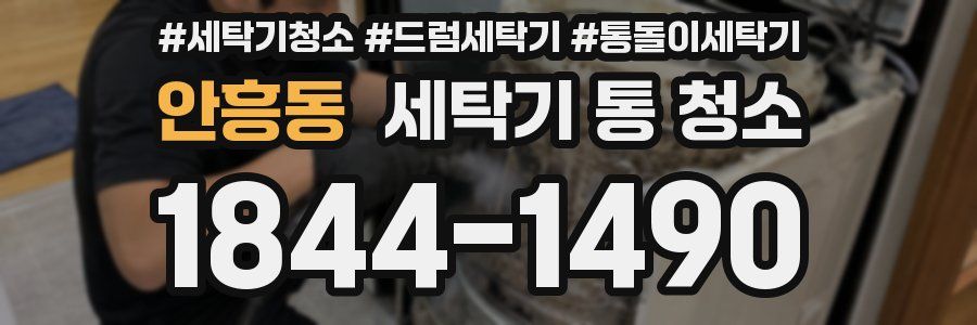 안흥동 세탁기 통 청소
