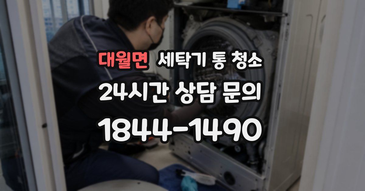 대월면 세탁기 통 청소