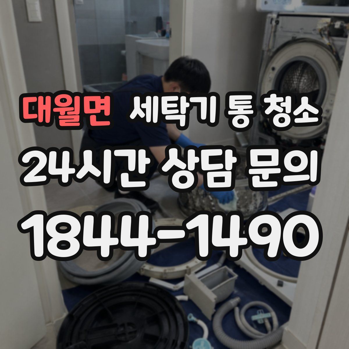 대월면 세탁기 통 청소