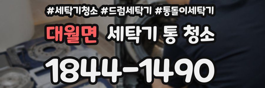 대월면 세탁기 통 청소