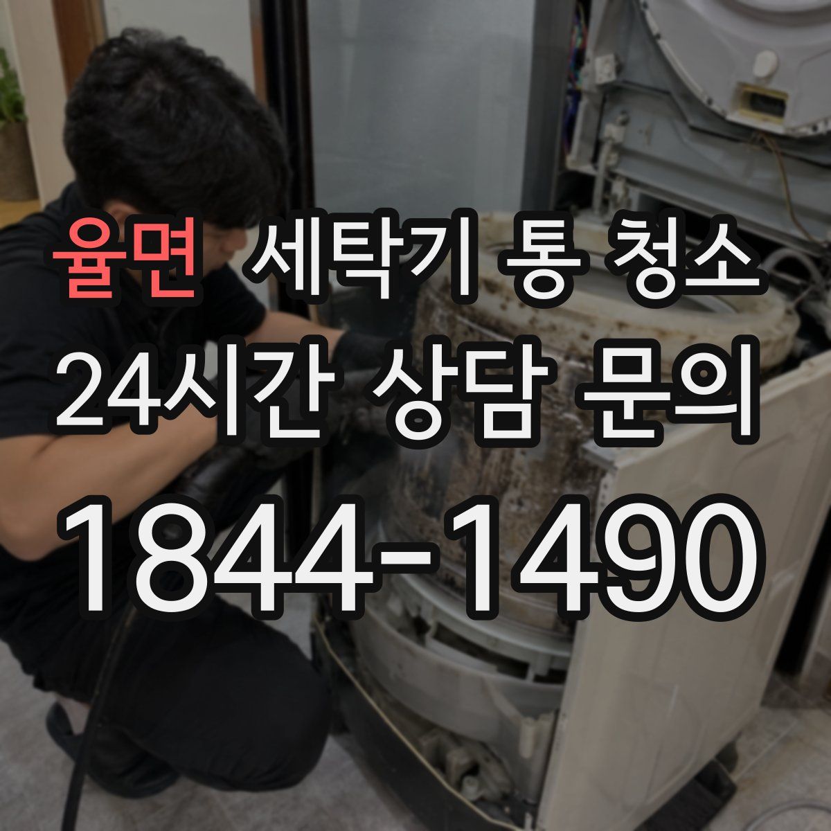 율면 세탁기 통 청소