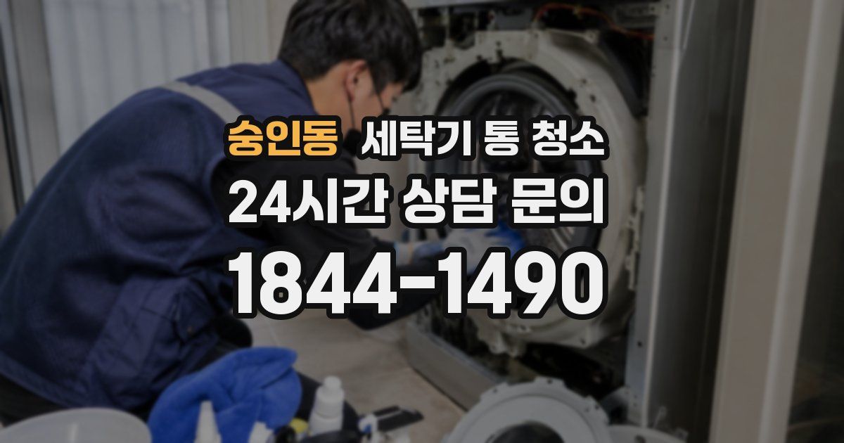 숭인동 세탁기 통 청소