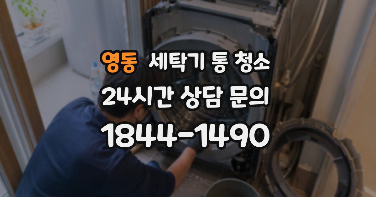 영동 세탁기 통 청소