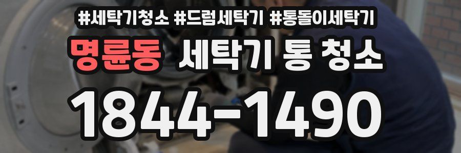 명륜동 세탁기 통 청소
