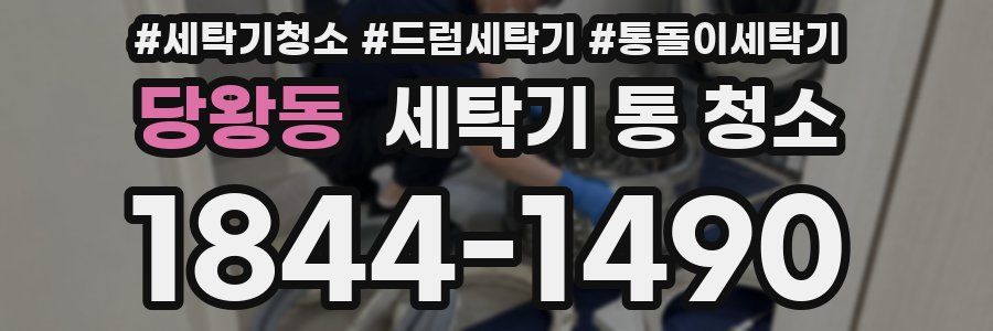 당왕동 세탁기 통 청소