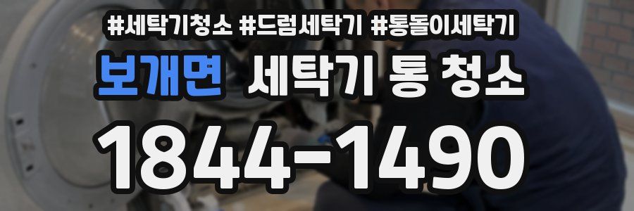 보개면 세탁기 통 청소