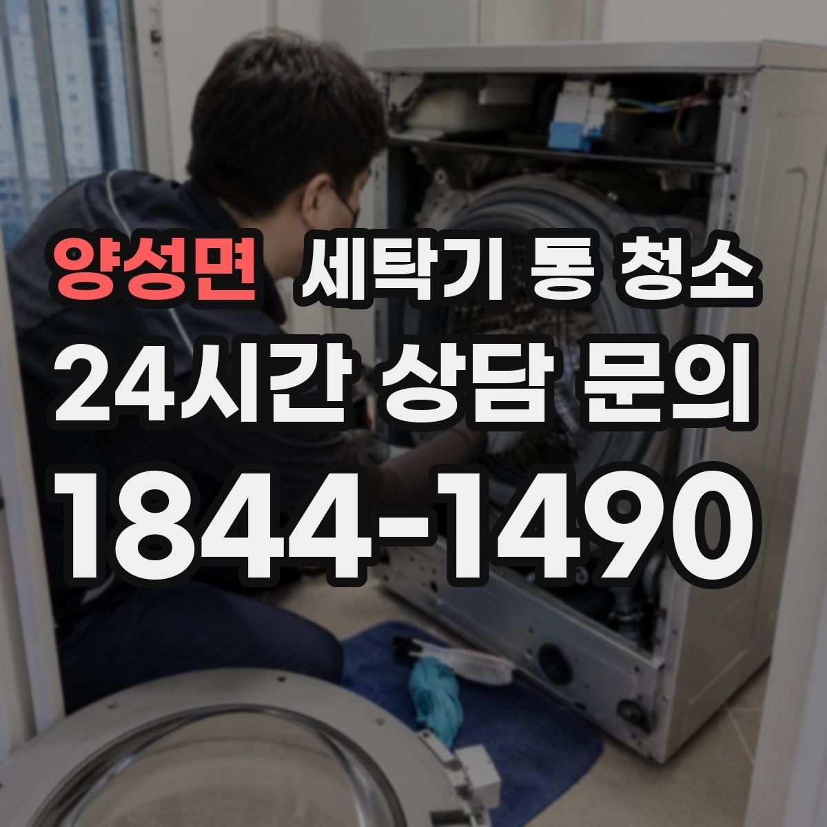 양성면 세탁기 통 청소